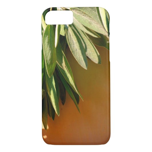 Coques Case-Mate iPhone Sage frais coupé (Dos)
