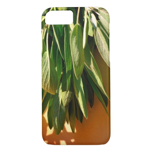 Coques Case-Mate iPhone Sage frais coupé (Dos)