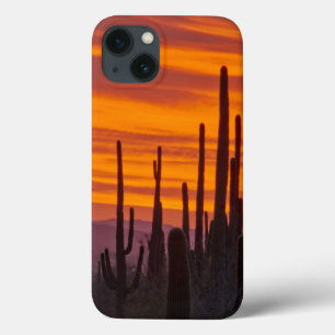 Etui iPhone 13 Saguaro, coucher du soleil, Parc national du Sagua