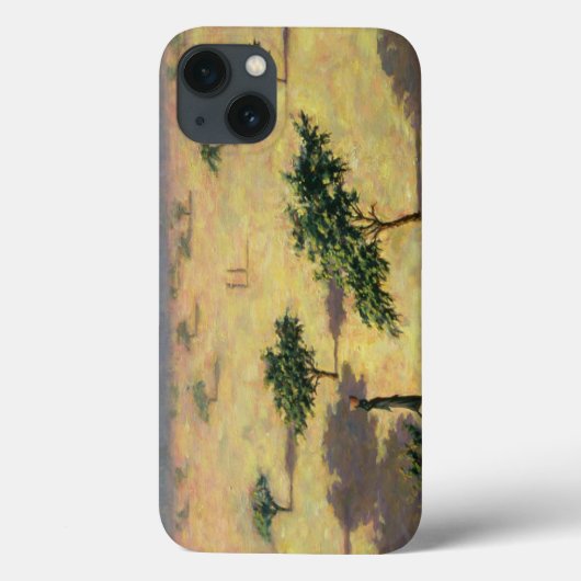 Coques Case-Mate iPhone Sahelian Landscape Mali 1991 (Verso)