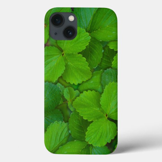 Coques Case-Mate iPhone Saint Basil Tulsi Green Mint Feuilles (Verso)