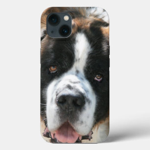Coques Pour iPhone Saint Bernard Face