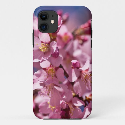 Coques Case-Mate iPhone Sakura Cherry Blossoms embrassés par Sunlight (Dos)