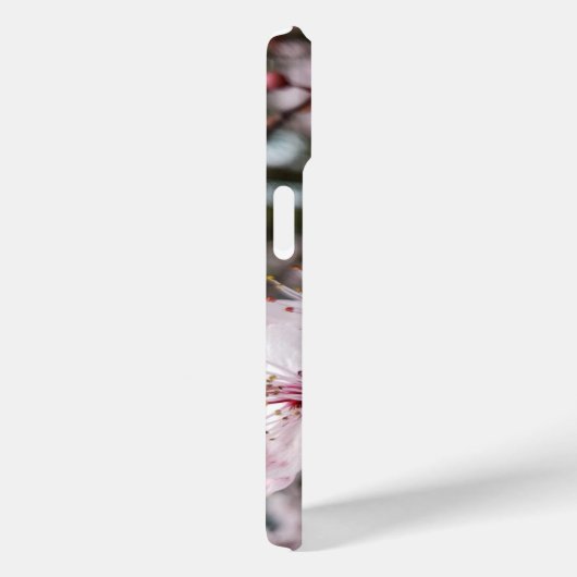 Coques Case-Mate iPhone Sakura de printemps (Verso / Droite)