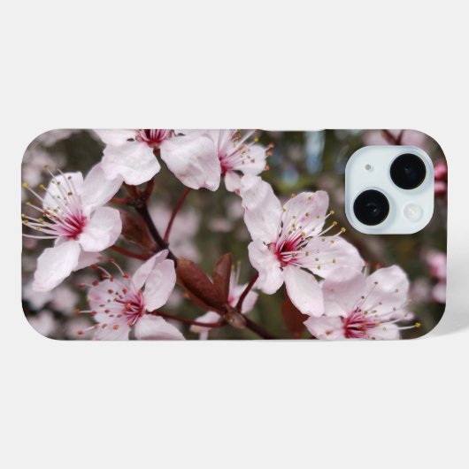 Coques Case-Mate iPhone Sakura de printemps (Verso (horizontal))