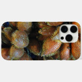 Coques Case-Mate iPhone Salak [Fruit de serpent] (Verso (horizontal))
