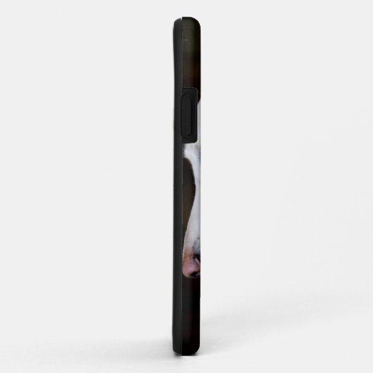 Coques Case-Mate iPhone Saluki recherchant (Dos/Droite)