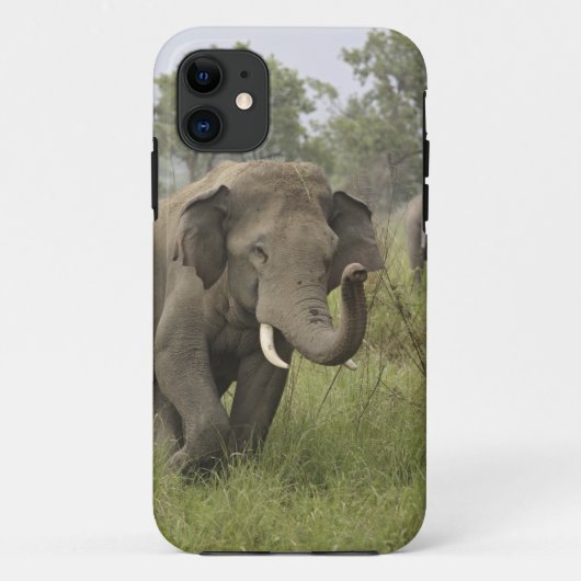 Coques Case-Mate iPhone Salutation d'éléphant asiatique indien (Dos)
