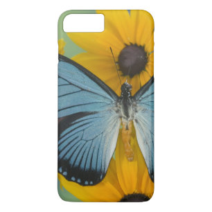 Case-Mate iPhone Case Sammamish Washington Photo de Papillon