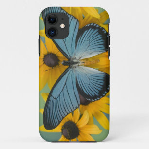 Coque iPhone 11 Sammamish Washington Photo de Papillon