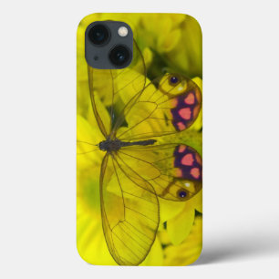 iPhone 13 Case Sammamish Washington Photographie d'un papillon su