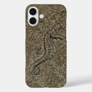 Coques iPhone 16 Plus Sandy Textured Seahorse Photo
