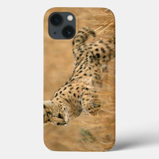 Coques Case-Mate iPhone Saut Serval (Leptailurus Serval) (Verso)