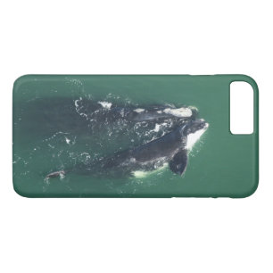 Coques Pour iPhone Sauvez les baleines noires de l'Atlantique Nord pa