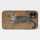 Coques Case-Mate iPhone Savannah Cat iPhone 5 (Dos (Horizontal))