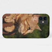 Coques Case-Mate iPhone Savannah Cat iPhone 5 (Dos (Horizontal))