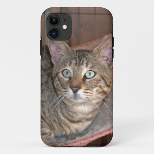 Coques Case-Mate iPhone Savannah Cat iPhone 5 (Dos)