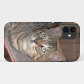 Coques Case-Mate iPhone Savannah Cat iPhone 5 (Dos (Horizontal))