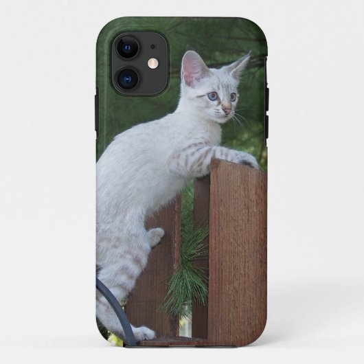 Coques Case-Mate iPhone Savannah Cat iPhone 5 Coque-Mate à peine là (Dos)