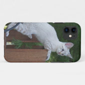 Coques Case-Mate iPhone Savannah Cat iPhone 5 Coque-Mate à peine là (Dos (Horizontal))