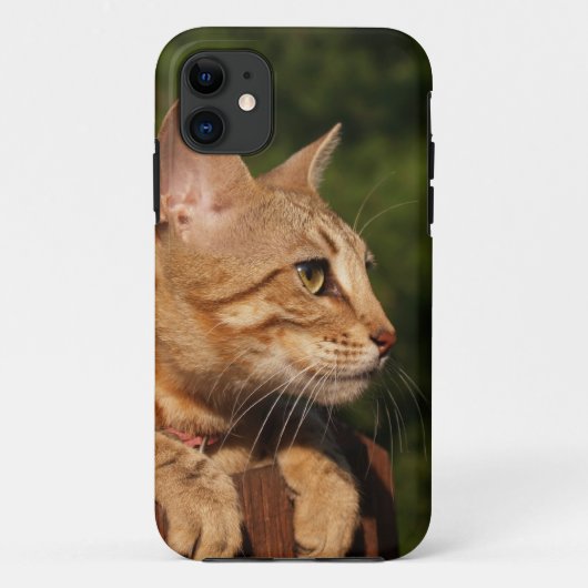 Coques Case-Mate iPhone Savannah Cat iPhone 5 Coque-Mate à peine là (Dos)