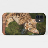 Coques Case-Mate iPhone Savannah Cat iPhone 5 Coque-Mate à peine là (Dos (Horizontal))