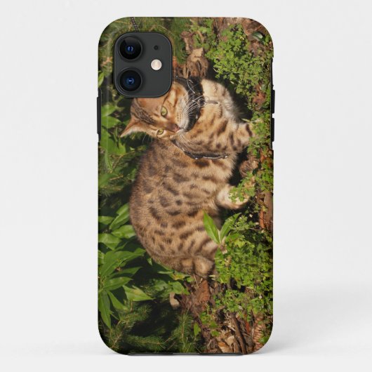 Coques Case-Mate iPhone Savannah Cat iPhone 5 Coque-Mate à peine là (Dos)