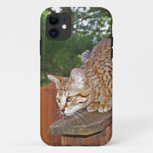 Coques Case-Mate iPhone Savannah Cat iPhone 5 Custom Coque-Mate ID (Dos)