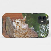 Coques Case-Mate iPhone Savannah Cat iPhone 5 Custom Coque-Mate ID (Dos (Horizontal))
