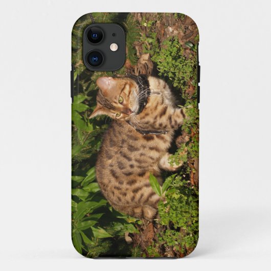 Coques Case-Mate iPhone Savannah Cat iPhone 5 Custom Coque-Mate ID (Dos)