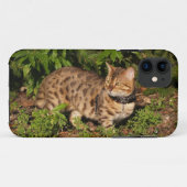 Coques Case-Mate iPhone Savannah Cat iPhone 5 Custom Coque-Mate ID (Dos (Horizontal))