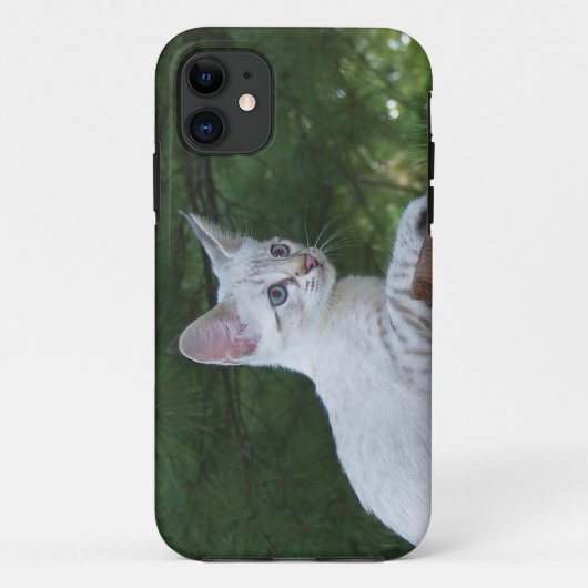 Coques Case-Mate iPhone Savannah Cat iPhone 5 Custom Coque-Mate ID (Dos)