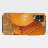 Coques Case-Mate iPhone Scène d'automne citrouille (Dos (Horizontal))