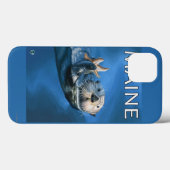 Coques Case-Mate iPhone Scène de Loutres de Maine (Verso (horizontal))