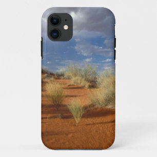 Coque Case-Mate Pour iPhone Scène du désert du Kalahari, Kgalagadi Transfronti