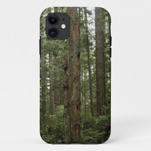 Coques Case-Mate iPhone Scène naturelle de la forêt de Totem Vert (Dos)
