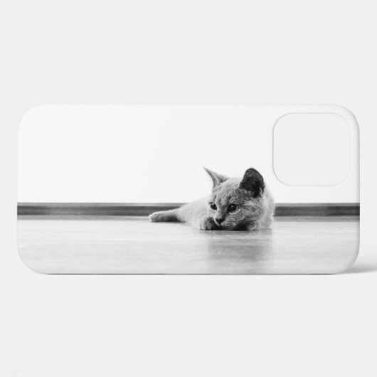 Coques Case-Mate iPhone Scottish Fold Kitten Chat Super mignonne (Verso (horizontal))