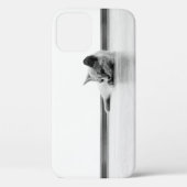 Coques Case-Mate iPhone Scottish Fold Kitten Chat Super mignonne (Verso)