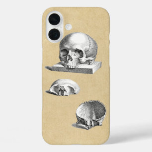 iPhone 16 Plus Case Section de l'anatomie du crâne humain