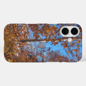 COQUES Case-Mate iPhone SEDONA SEASONING (Verso (horizontal))