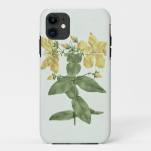 Coques Pour iPhone Sensation-Effort (quartinianum de Hypericum) (la