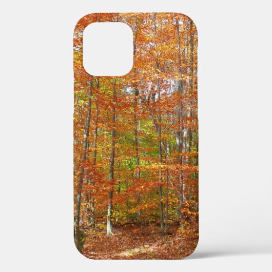 Coques Case-Mate iPhone Sentier de l'automne de la lumière du soleil au pa (Verso)