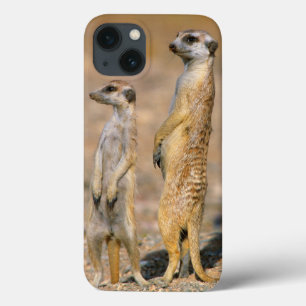 Case-Mate iPhone Case Sentinelles de Meerkat (Suricata Suricatta), Karas