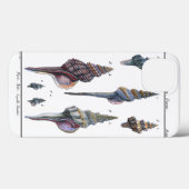 Coques Case-Mate iPhone Sept Coquillages Colorés (Verso (horizontal))