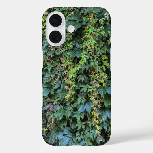 Coques Case-Mate iPhone Serene Green Ivy Wall Suspendre Vins Plantes Feuil (Verso)