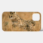 Coques Case-Mate iPhone Serval (Leptailurus Serval) sautant (Verso (horizontal))