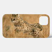 Coques Case-Mate iPhone Serval (Leptailurus Serval) sautant (Verso (horizontal))