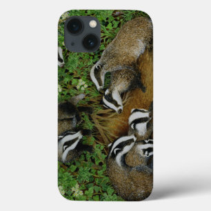 Etui iPhone 13 Setting Out