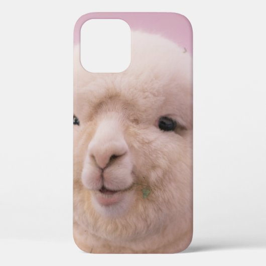 COQUES Case-Mate iPhone SHEEP BLANC EN FERMETURE PHOTOGRAPHIE (Verso)