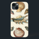 iPhone 13 Case Shell de fantaisie échouent<br><div class="desc">George Wolfgang Knorr est connu pour le détail et la précision sensibles de ses illustrations des coquilles et des étoiles de mer. Ses dessins ont été influencés par son propre intérêt pour la science,  des thèmes populaires de son ère.</div>